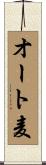 オート麦 Scroll
