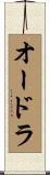 Audra Scroll