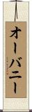 オーバニー Scroll