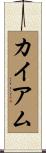 カイアム Scroll