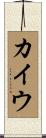 カイウ Scroll
