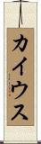 カイウス Scroll