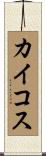 カイコス Scroll