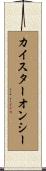 カイスターオンシー Scroll