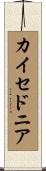 カイセドニア Scroll