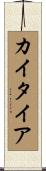 カイタイア Scroll