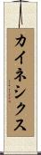 カイネシクス Scroll