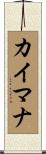 カイマナ Scroll