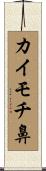 カイモチ鼻 Scroll