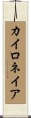 カイロネイア Scroll