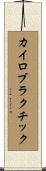 カイロプラクチック Scroll