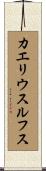カエリウスルフス Scroll