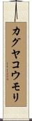 カグヤコウモリ Scroll