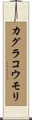 カグラコウモリ Scroll