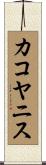 カコヤニス Scroll