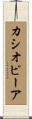 カシオピーア Scroll