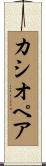カシオペア Scroll