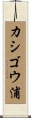 カシゴウ浦 Scroll