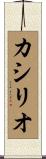 カシリオ Scroll