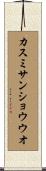 カスミサンショウウオ Scroll