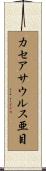 カセアサウルス亜目 Scroll