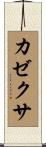 カゼクサ Scroll