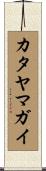 カタヤマガイ Scroll