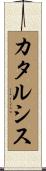 カタルシス Scroll