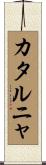 カタルニャ Scroll