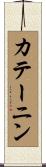 カテーニン Scroll