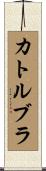 カトルブラ Scroll