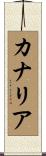 カナリア Scroll