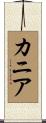 Kania Scroll