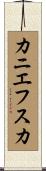 カニエフスカ Scroll