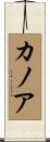 Kanoa Scroll