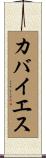 カバイエス Scroll