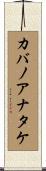 カバノアナタケ Scroll