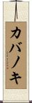 カバノキ Scroll
