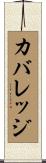 カバレッジ Scroll
