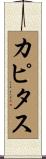 カピタス Scroll