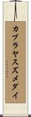 カブラヤスズメダイ Scroll