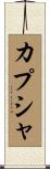 カプシャ Scroll
