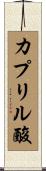 カプリル酸 Scroll