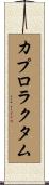 カプロラクタム Scroll