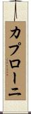 カプローニ Scroll