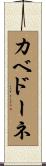 カベドーネ Scroll