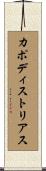カポディストリアス Scroll