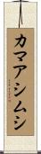 カマアシムシ Scroll