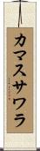 カマスサワラ Scroll