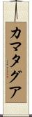 カマタグア Scroll